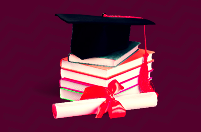 Licenciaturas en Línea con Validez Oficial de Estudios