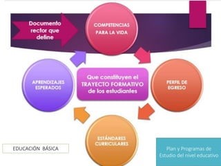 Cepeda Silva, Armando. “Diseño centrado en evidencias (ECD)”. México: CEAAMER, 2022. 10 hojas