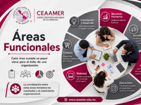 Áreas Funcionales